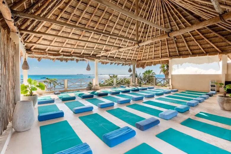 Wellness & team retreats